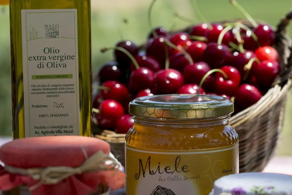 Farm stay Agriturismo Villa Mazzi Montepulciano Italy
